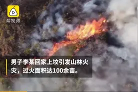 男子上坟抽烟致百亩森林火灾  防火意识须牢记心中图片