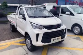 国产最霸气小货车！野马D10实车曝光，比五菱征途更实用图片