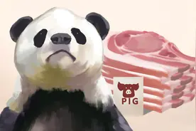一季度，中国进口美猪肉16.8万吨！巴西猪肉未来或用人民币交易？图片