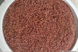 酒味窝料配方分享，冬季野钓必备图片