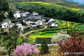 安徽这个村，不仅是长寿村，还是中国“富硒”第一村，你去过吗？图片