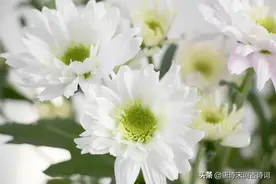 人生不苦短，老去亦无惧图片