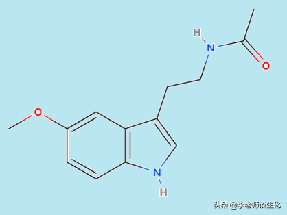 氨基酸衍生物代谢（一）