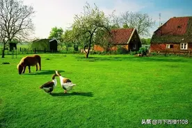 常宁往事|三十年前那次红眼病大流行图片