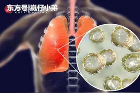 武汉加油，盘点明星一共捐了多少钱图片