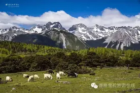 不想做神仙，我只想爱上香格里拉，生活在香格里拉图片