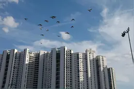 一期房和二期房大有不同，提前了解这6点，买房心里更有数图片