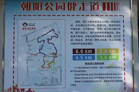 朝阳公园的“小怪兽”有新功能啦！图片