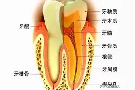 牙齿突然掉了一小块是怎么回事？图片