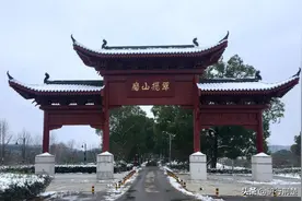 武汉最大的原生态茶园，禁止机动车入内，绝美风景堪比世外桃源图片