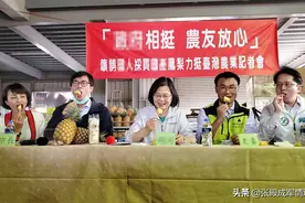 台湾凤梨出口有救了？蔡当局赔本赚吆喝 专家：杀鸡焉用宰牛刀图片