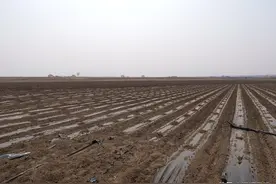 “保姆式”土地托管，促进农民增收图片