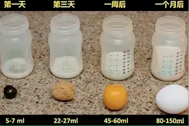 新生宝宝胃大小如樱桃，一岁像鸡蛋，很多家长陷误区，你喂对了吗图片
