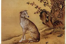 花鸟画石头技法，初学者必看图片