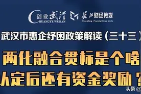 什么是两化融合贯标？认定后还有资金奖励？图片