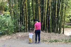 三个西洛杉矶的散步爬山地点图片
