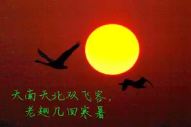 元好问：用坎坷的一生和一颗悲悯的心解读灵魂之问图片