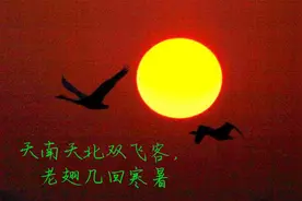 元好问：用坎坷的一生和一颗悲悯的心解读灵魂之问图片