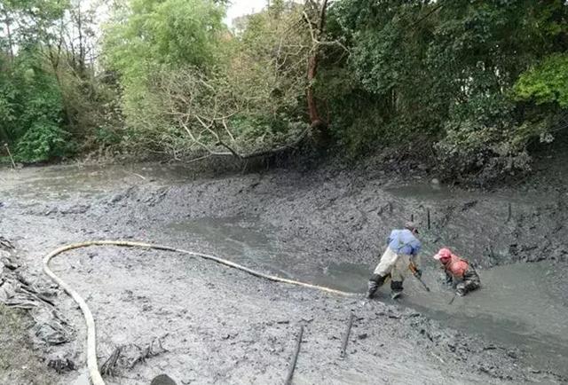 底质改良势在必行，刻不容缓