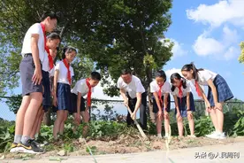 这所小学，劳动教育已逾十年图片