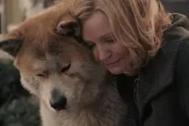 泪目！湖南一女主人出嫁，家中田园犬狂奔十几公里送亲图片