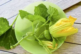 南瓜藤的百变吃法：满足了味蕾，舒服了肠胃，大赞图片