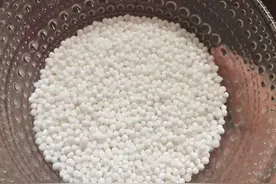 西米好吃，但是总是有白芯？教你一招，煮好的西米彻底变透明图片