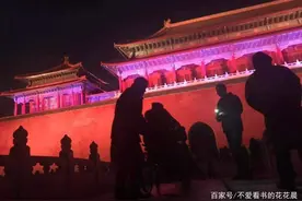 观众夜游故宫，喊着要吃要喝，院长单霁翔：上800盒面，全免费图片
