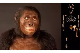 人类真的没有天敌吗？史前一动物专吃人类先祖，差点吃到灭绝图片