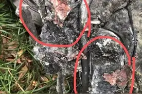杭州起火电瓶车品牌、购买地点首次公布！是否更换过电池？深夜权威回应图片