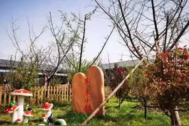 趁阳光正好，微风不噪 ，你想去的地方在这里——固安荆东小镇图片