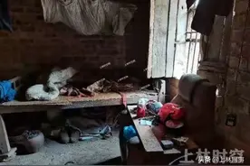 父子两相依为命！上林县这一幕看了让人心酸图片