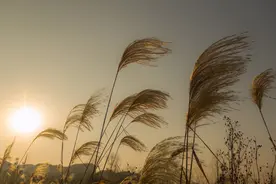 真正好的伴侣，是懂得好好说话图片