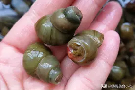 农村河里10大美味，味道鲜美，一斤难求，看看有没有你爱吃的图片