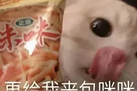 表情包：再给我来包咪咪图片