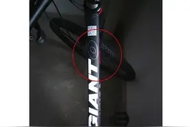 一伙人在辽阳路边“低价出售”自行车？动心了？小心是套路图片