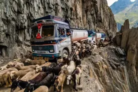 印度国土面积只有中国三分之一，公路里程为什么是中国2倍？图片