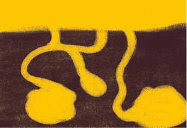 宝宝学画画教程：地下小动物