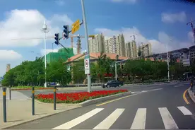 夫妻同时找陪练学车，为啥零基础的妻子，学车效果反而好？图片