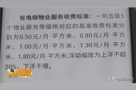 聚焦315：物业服务质量与收费不匹配，来看看是哪个小区图片