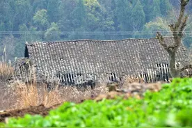 农村80岁老人去世，村里人却都不愿去帮忙，原因是什么？图片