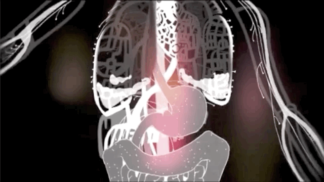 糖：最甜蜜的杀手，成瘾性极强？我们为什么无法戒糖…