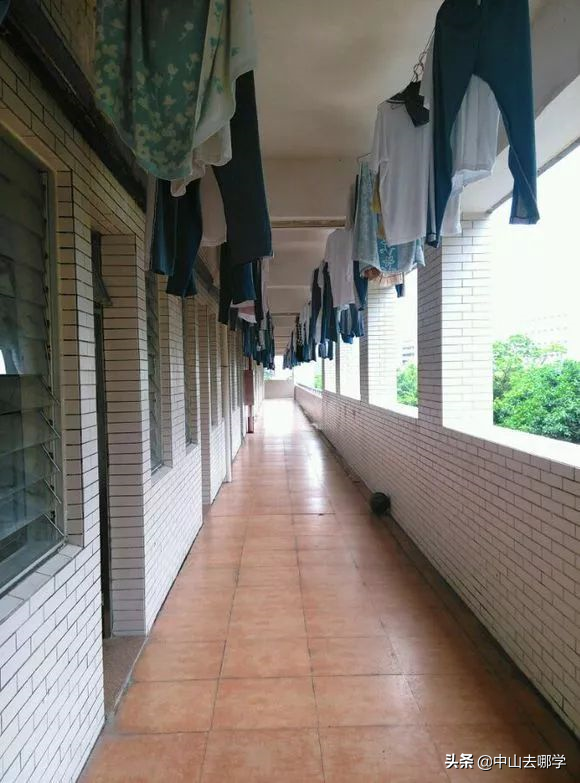 办学不到两年,高分获评"五星级民办学校"(中山市实验高级中学怎么样)