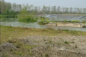 河边捞鱼捞虾，大人小孩齐上阵图片