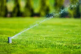 防城港一日游：我和大刘酸了，想在这边买房图片