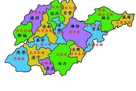 山东有多少纯粮酒！看到这些酒，老酒鬼瞬间落泪，都是回忆图片