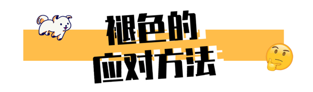 翻看旧照片发现，狗子居然养着养着变色了