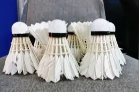 羽毛球竟然成为抢手货！因为疫情影响全球羽毛球要脱销图片
