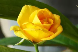 深爱过的你，永远都忘不了图片