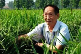 中国唯一的终身免检驾照，属于一位89岁老人，比普通驾照多7个字图片